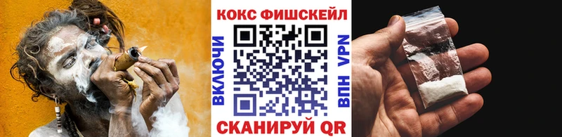 где купить наркоту  Правдинск  Кокаин FishScale 