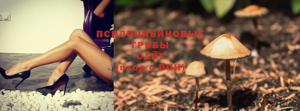 тгк Навашино