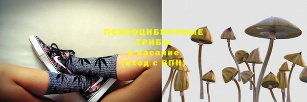 apvp Надым